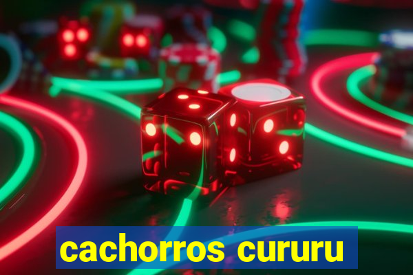 cachorros cururu